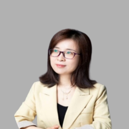 认识我们的团队